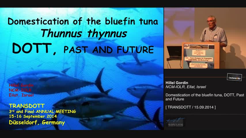 Domestication of the bluefin tuna, DOTT, Past and Future