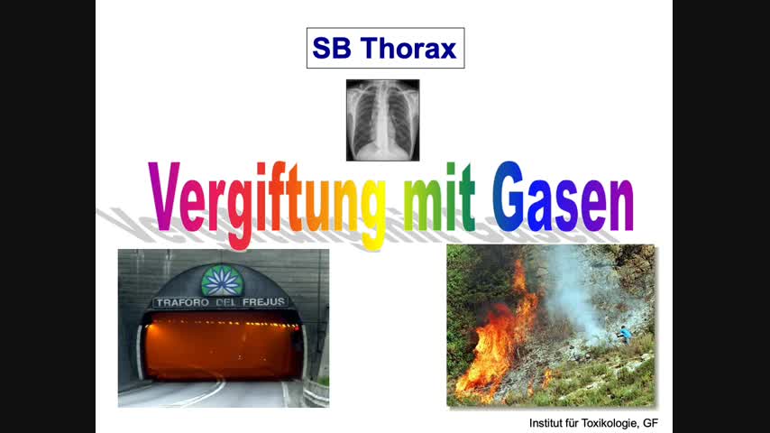 SB-Thorax-P-Toxikologie-Gase