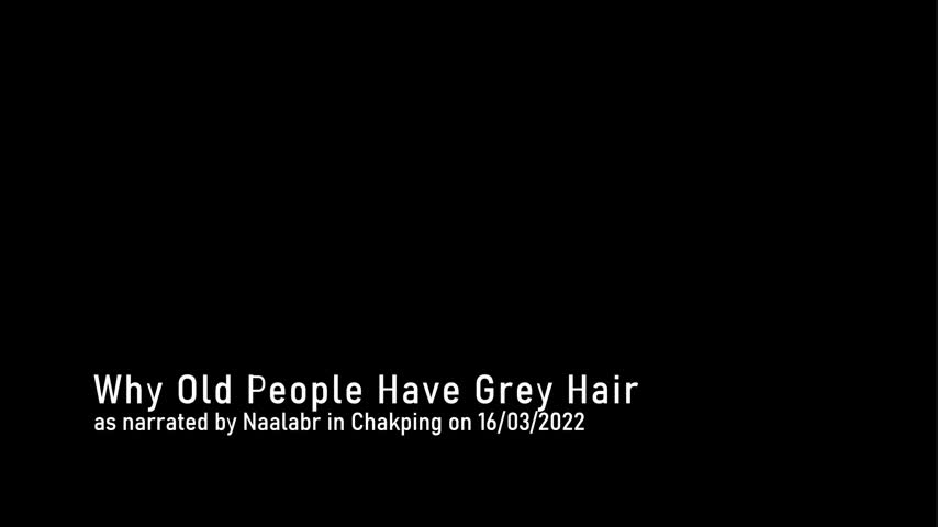 Why Old People Have Grey Hair