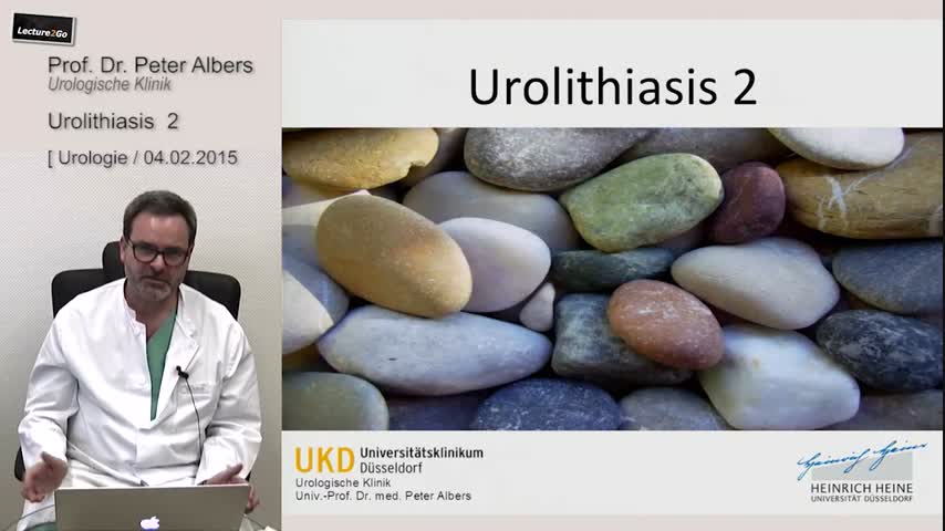 Urolithiasis 2