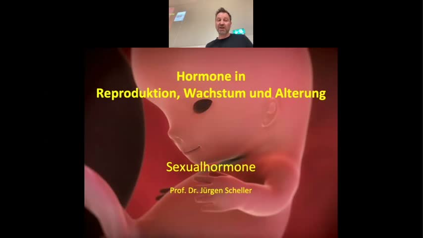 TB8 - Scheller - Vorlesung 3 - Sexualhormone - Steroidhormone