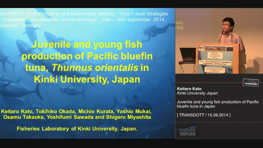 Juvenile and young fish production of Pacific bluefin tuna, Thunnus orientalis in Kinki University, Japan