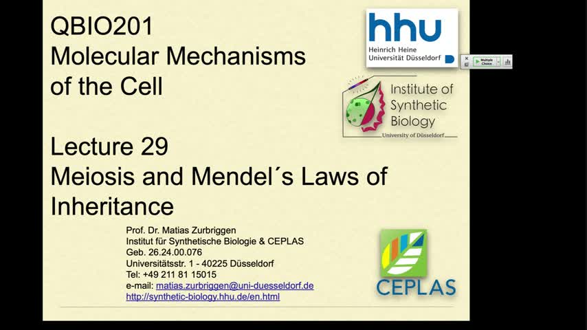 QBio201 L29 MZ Meiosis & Mendel´s Inheritance Laws 