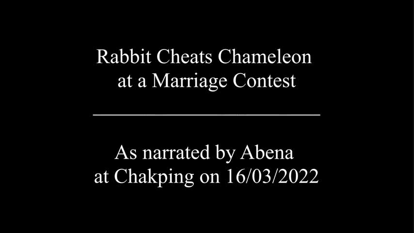 RABBIT CHEATS CHAMELEON AT A MARRIAGE CONTEST