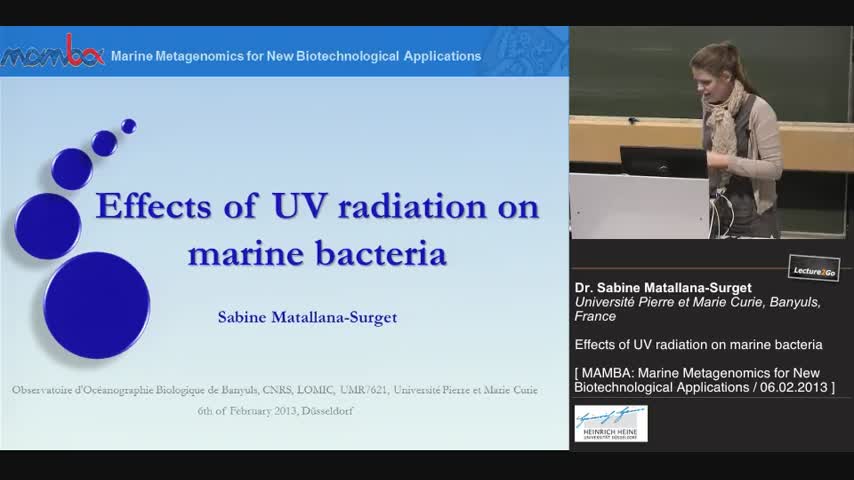 Effects of UV radiation on marine bacteria