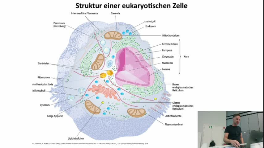 01 - TB1 Vorlesung Scheller - WS2023/2024 - Zellbiologie I
