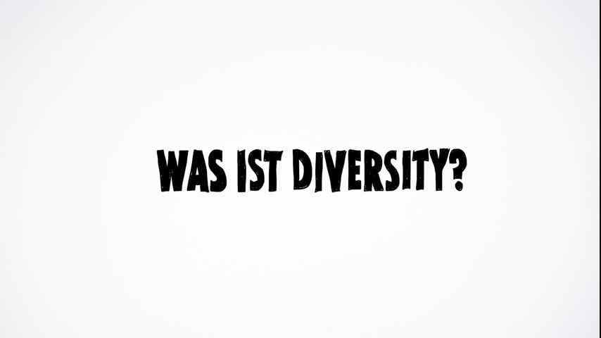 Was ist Diversity?