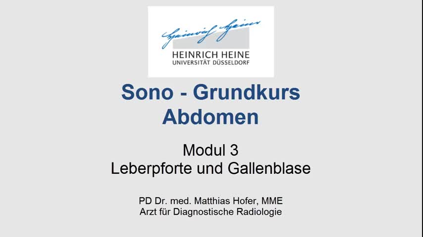 Sono GK Modul 3: Leberpforte und Gallenblase