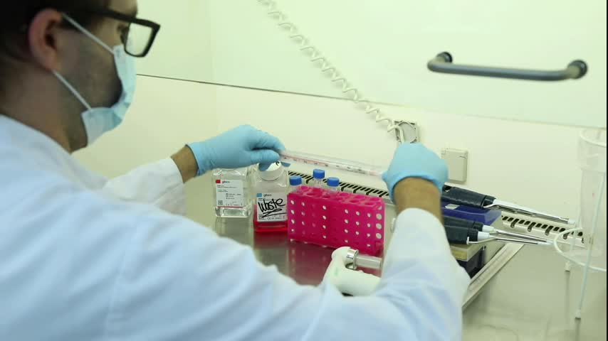 Basics of Labwork: genetic reprogramming of cells
