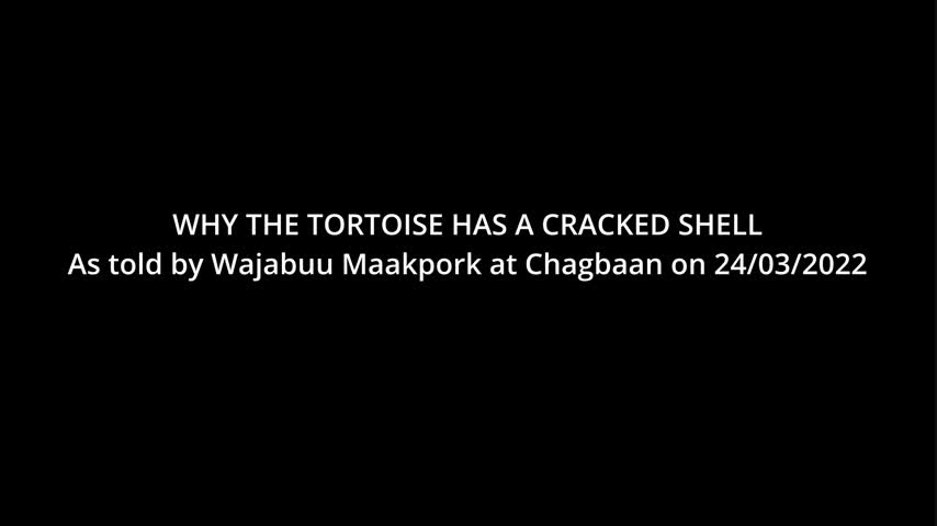 Why the Tortoise has a Cracked Shell
