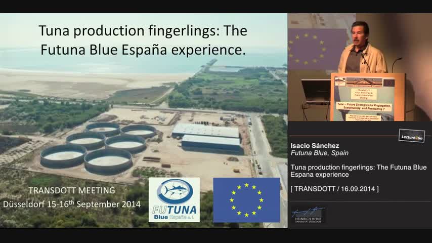 Tuna production fingerlings: The Futuna Blue España experience
