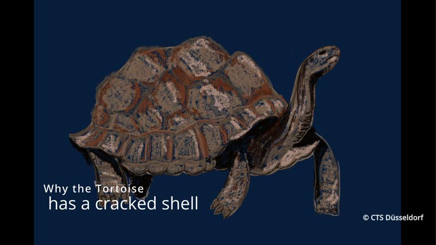  Why the tortoise has a cracked shell