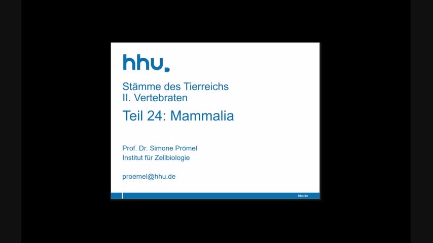 Bio130 Grundlagen Zoologie - Vorlesung 2023-07-04 - Mammalia