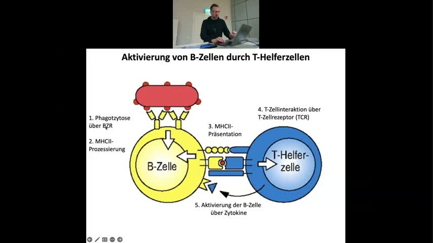 TB6 - 18 Vorlesung Biochemie Scheller - WiSe 2022 - Immunologie - Erworben - Aktivier...