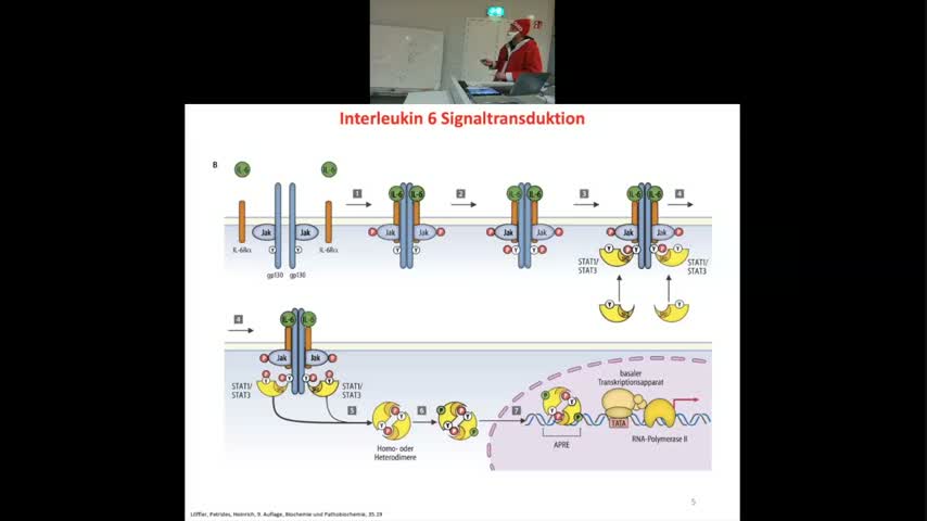 TB6 - 12 Vorlesung Biochemie Scheller - WiSe 2022 - Immunologie - Angeboren - Zytokine - IL-6 