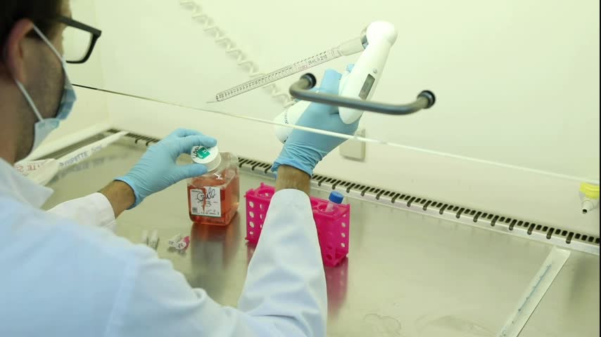 Basics of Labwork: Biobanking and quality control